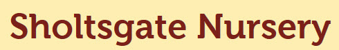 Placeholder Picture