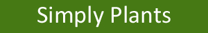 Placeholder Picture