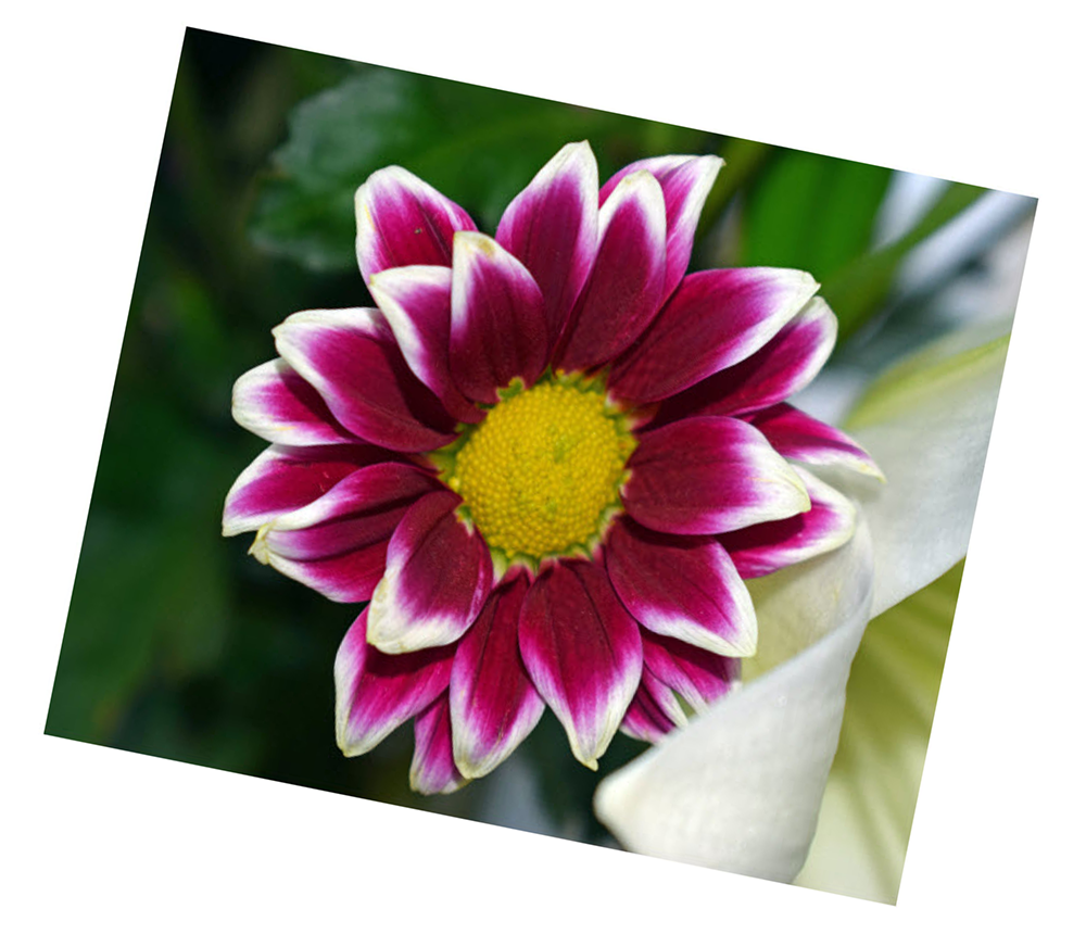 Placeholder Picture